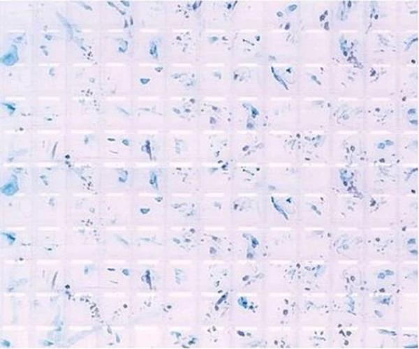 Picture of Plastruct PLS91742 0.19 in. Square Tiles&#44; Clear - Pack of 2