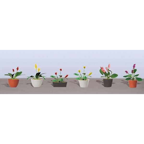 JTT95569 Ho Assorted Potted Flower Plants
