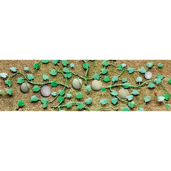2.75 in. Cantaloupe Patch - Pack of 4