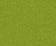 Picture of Badger Airbrush BAD1648 Weyerhauser Yellow Green