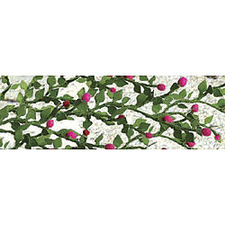 Rose Bushes - Pack of 6