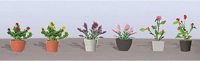 Assorted Potted Flower Plants - Pack of 6