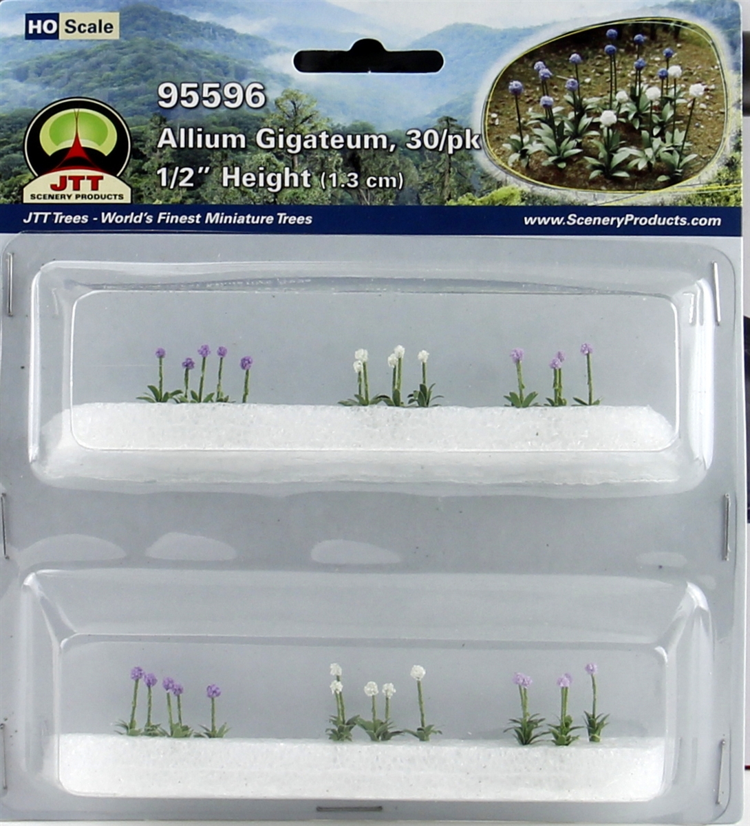 JTT95596 Ho Allium Gigateum, Pack of 30