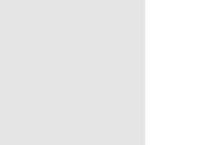 PLS91360 4 x 12 in. Mirror Sheet - Silver