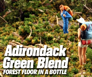 SEX897B 32 oz GRN Adirondack Blend
