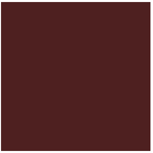 TCP163 SP Depot Trim AirBrush, Brown