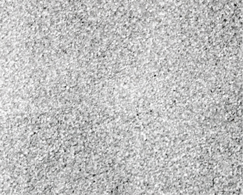 Light Gray Ballast - Quart