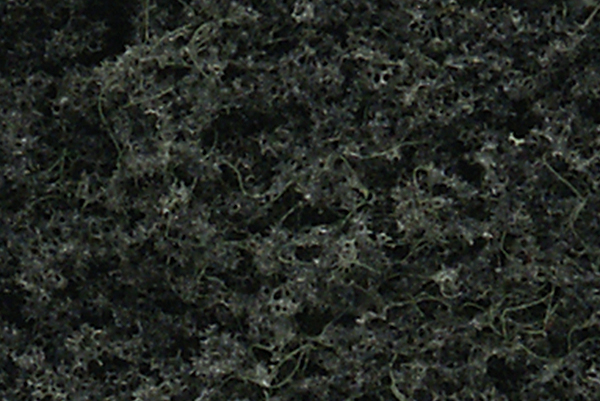 WOO1106 6 x 8 ft. Conifer Green Pines - Pack of 16