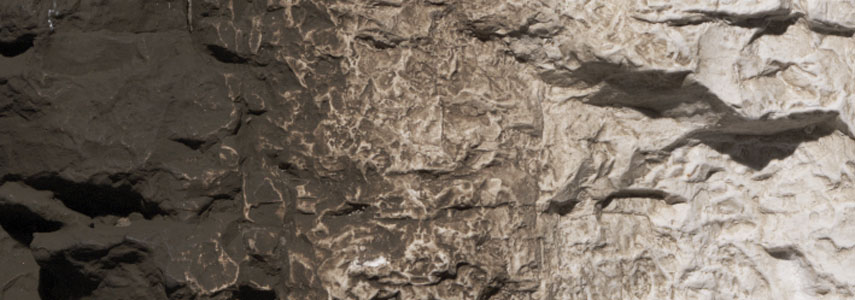 WOO1221 Raw Umber Terrain Paint