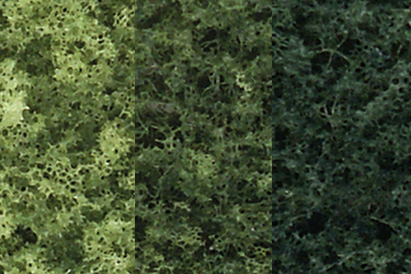 WOO1102 3 x 5 Mix Deciduous
