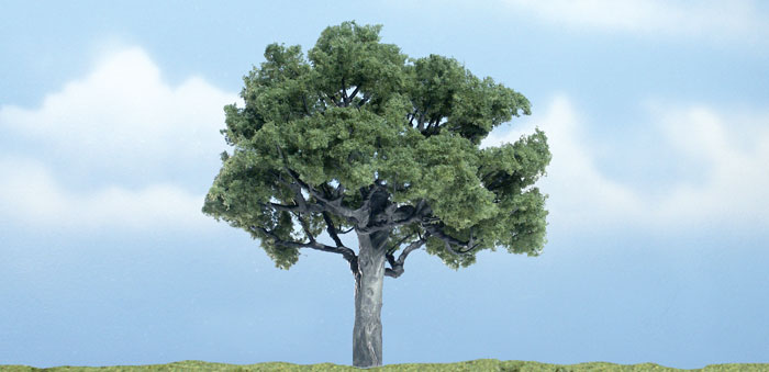 3.87 in. Walnut Tree