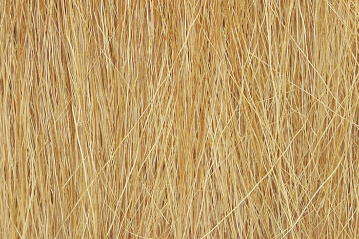 0.28 oz Field Grass Harvest Gold