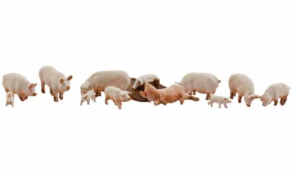 Yorkshire Pigs - HO Scale, 12 Piece