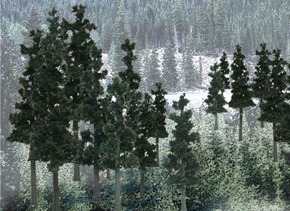 WOO1580 2.5 - 4 in. Conifer Colors - Pack of 33