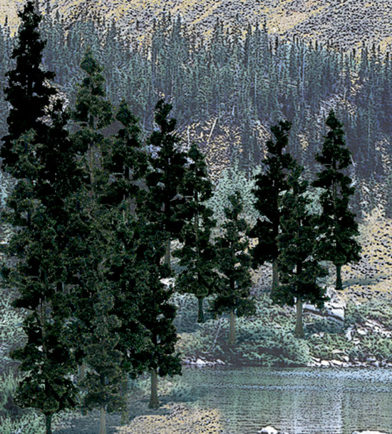 4 - 6 in. Conifer Colors - Pack of 24