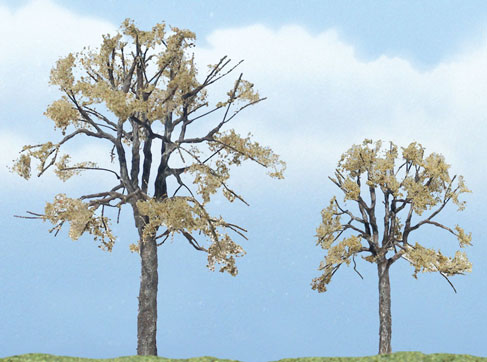 WOO1602 3.25 & 2.25 in. Dead Elm - Pack of 2