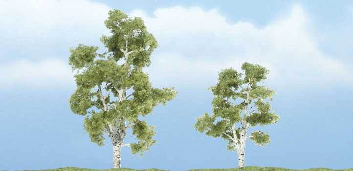 3 & 2.25 in. Sycamore - Pack of 2
