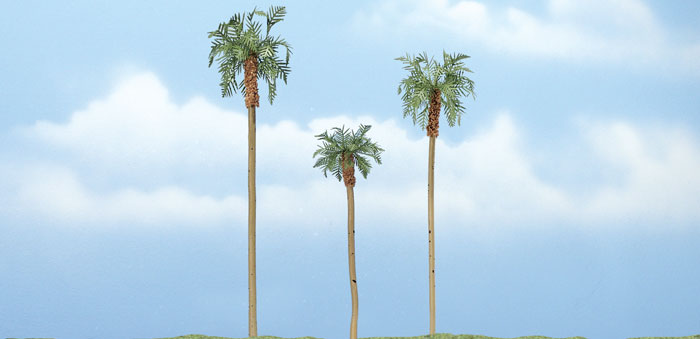 WOO1617 4.25 & 3, 4 in. Royal Palm - Pack of 3