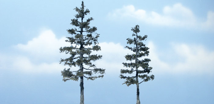 5.25 & 4 in. Pine - Pack of 2