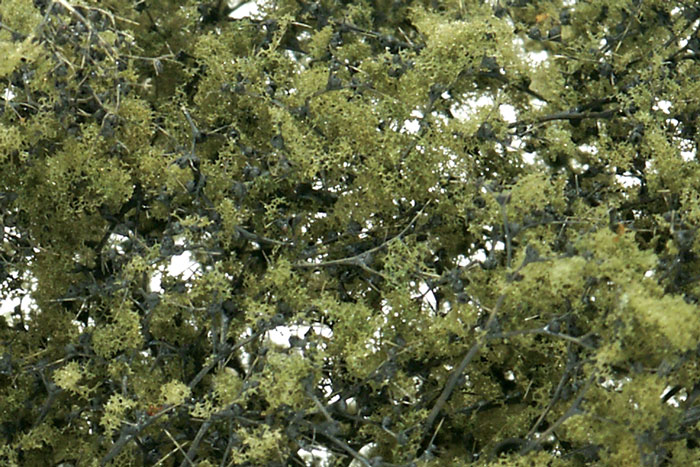 WOO1133 Fine Leaf Foliage Olive Green