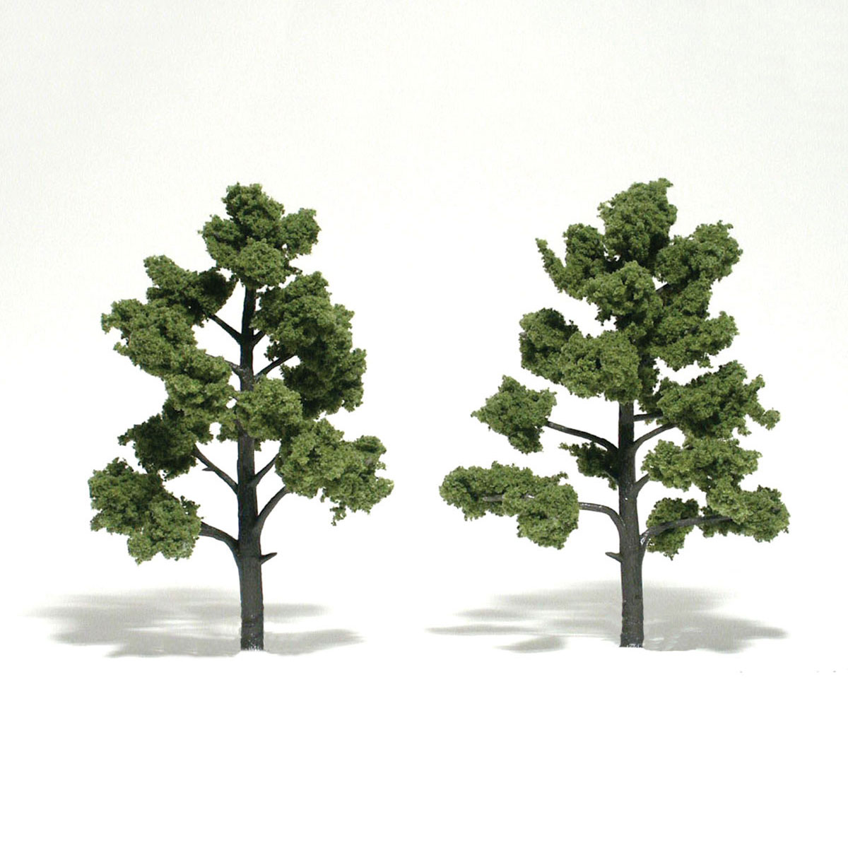 WOO1512 5-6 in. Light Green Trees