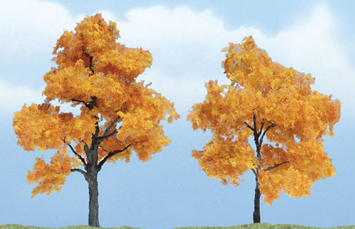 WOO1604 3.5 x 2.62 in. Fall Maple