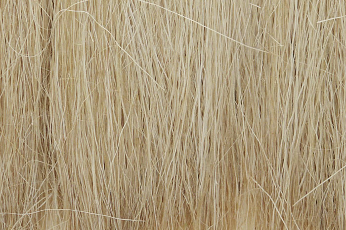 WOO171 Natural Straw Field Grass