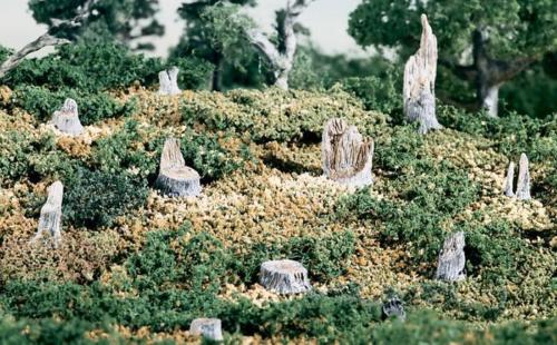 Cut Stumps