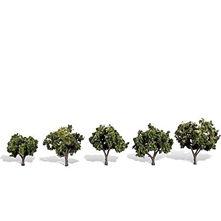 125  2 in  Classic Trees  Sun Kissed