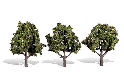 4 - 5 in. Sun Kissed Trees