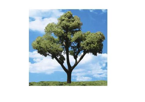 WOO3512 5 - 6 in. Trees Early Light