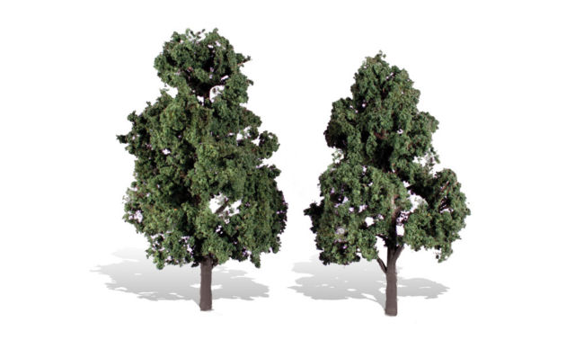 WOO3517 6 - 7 in. Classic Trees Cool Shade