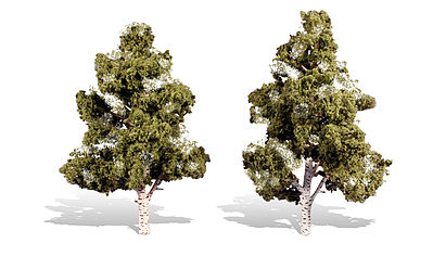7 - 8 in. Waters Edge Trees