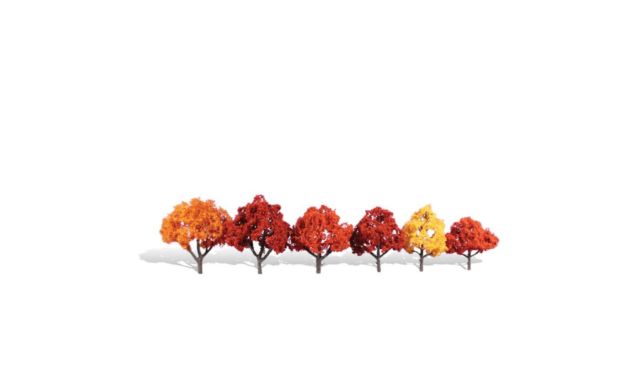 3 - 5 in. Harvest Blaze Tree