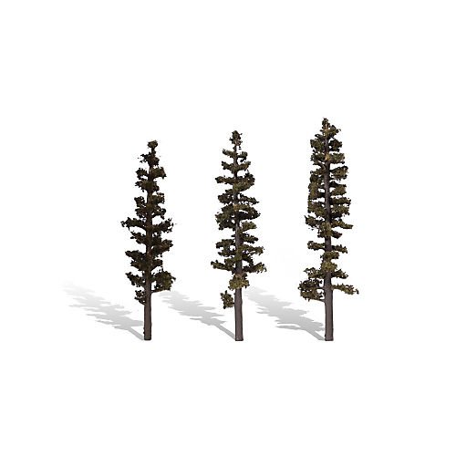 6 - 7 in. Standing Timber Trees