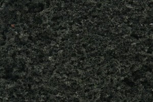 Foliage Conifer Green
