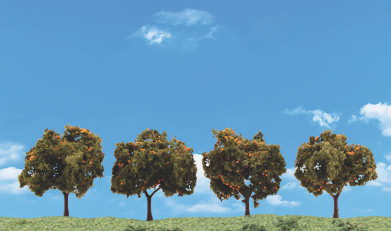 2 -3 in. Classics No. 3592 Classics Orange Tree