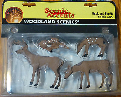 WOO2543 G Buck & Family