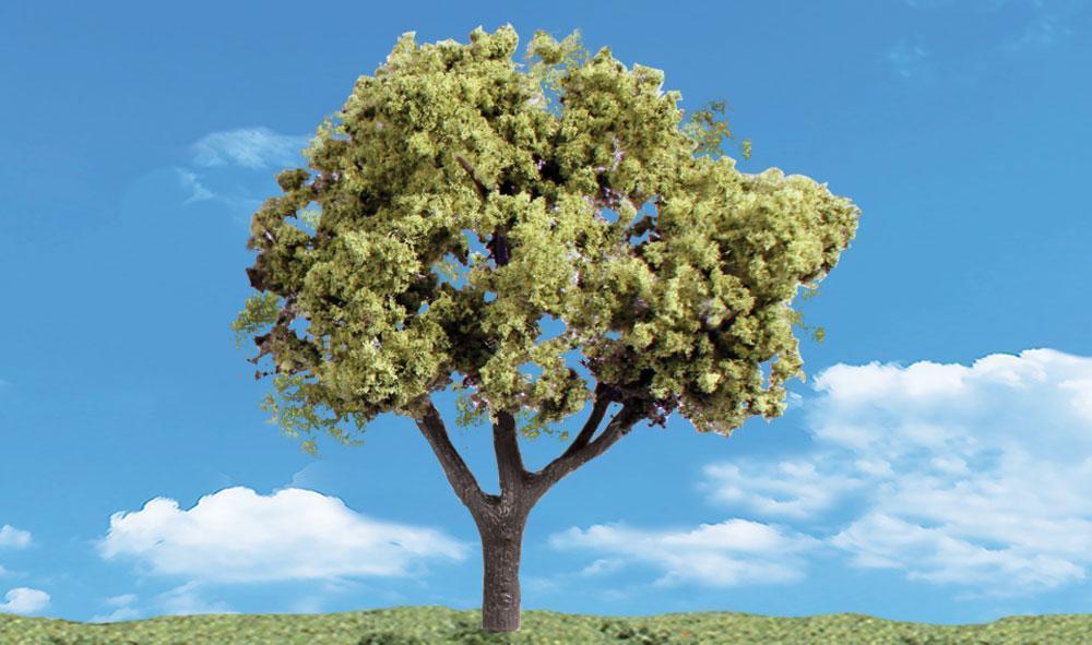1.25-2 in. Early Light Tree