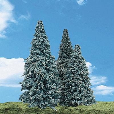 2.5-4 in. Blue Needle Trees
