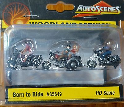 WOO5549 HO Born to Ride