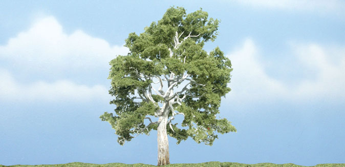WOO1609 4.25 in. Sycamore Premium Tree