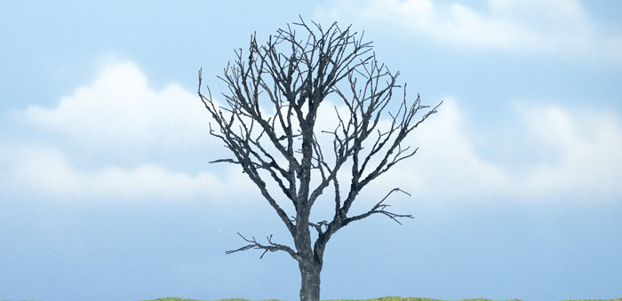 WOO1614 4.25 in. Dead Maple Tree