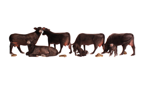 WOO1955 HO Black Angus Cows