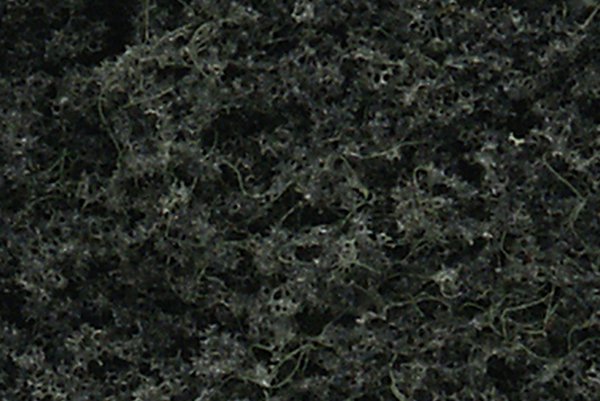 WOO1104 2.5 x 4 in. Conifer Green