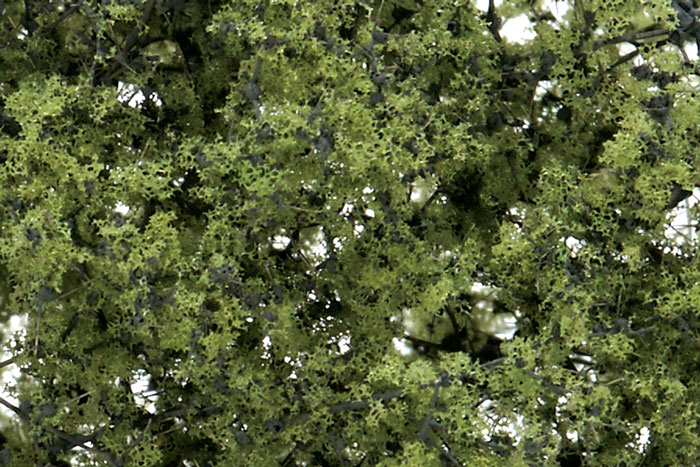 WOO1132 Fine Leaf Green Light Green