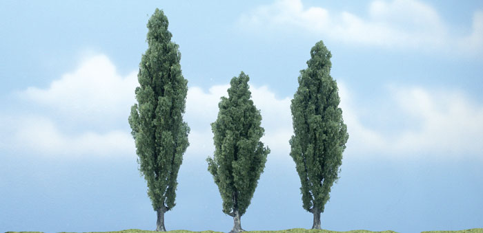 4.75 , 3.5, 4.13 Poplar
