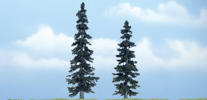 WOO1621 4.8 - 4 in. Spruce Premium Tree