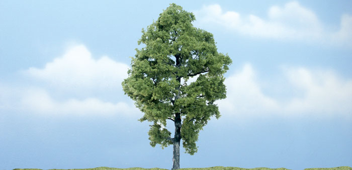 5.75 in. Hickory Premium Tree