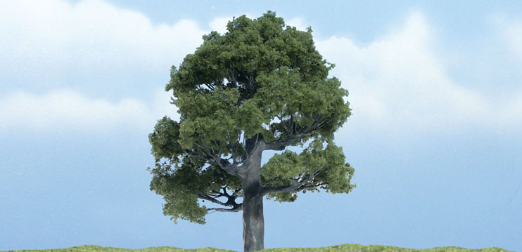 3 in. Premium Oak Tree